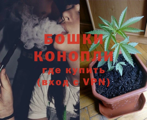 трава Аркадак