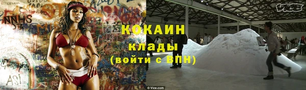 трава Аркадак
