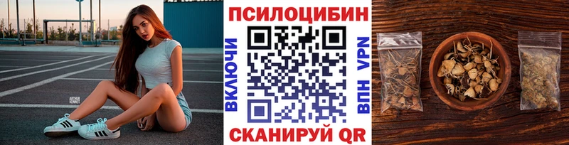 Псилоцибиновые грибы мухоморы  где купить наркоту  Уржум 